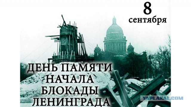 Тушь, пирожное и ламповый телевизор: «ленинградские» названия от советских времён до наших дней