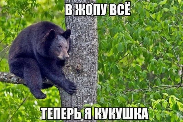Подборка интересных и веселых картинок