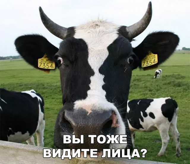 Нестандартный юмор