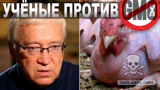 Что будет, если есть ГМО?