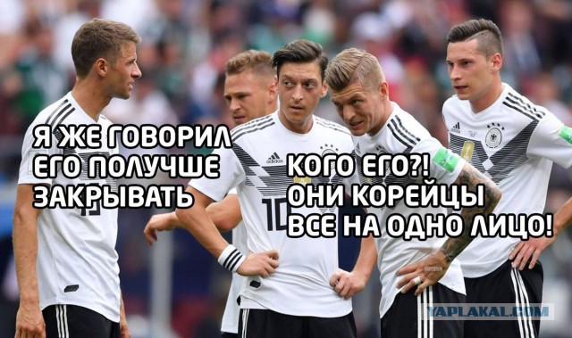 Немецкая сборная в официальном письме принесла извинения своим болельщикам