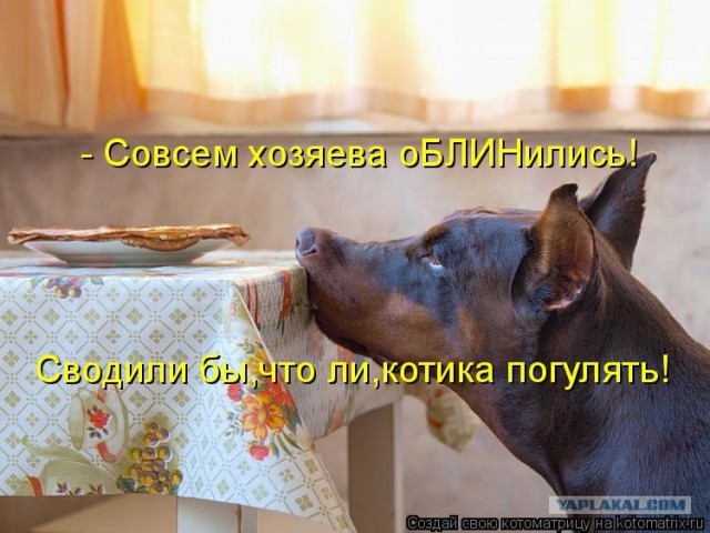 Сила воли