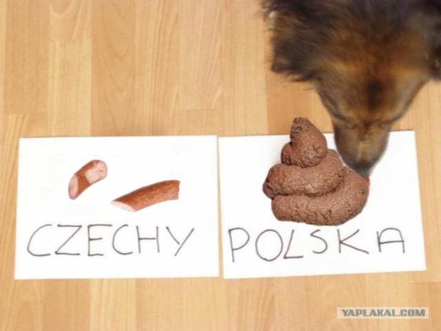 Чтобы уж наверняка