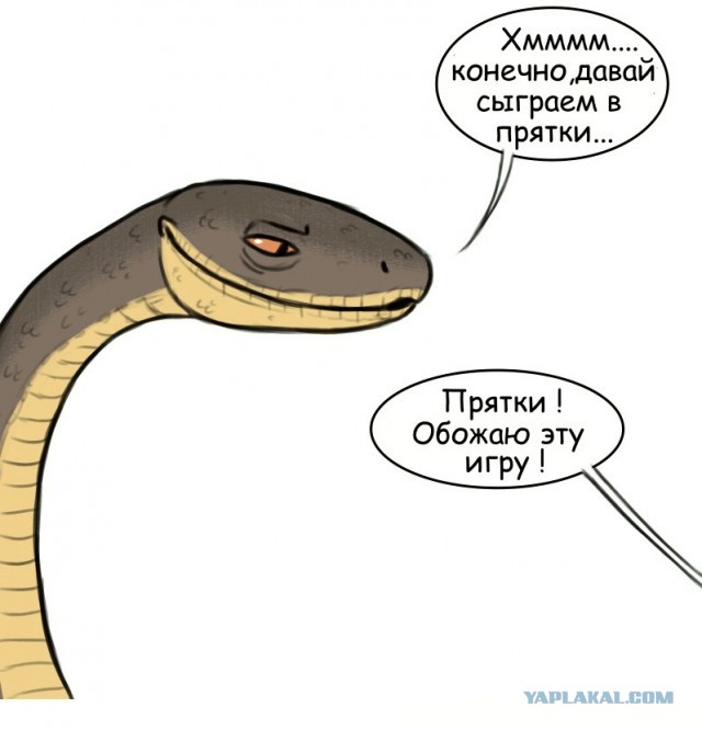 Бруд и Пикси