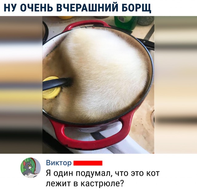 Анекдоты, соц-сети и картинки с надписями