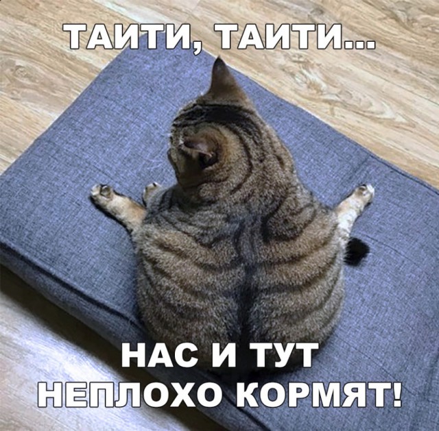 Нестандартный юмор