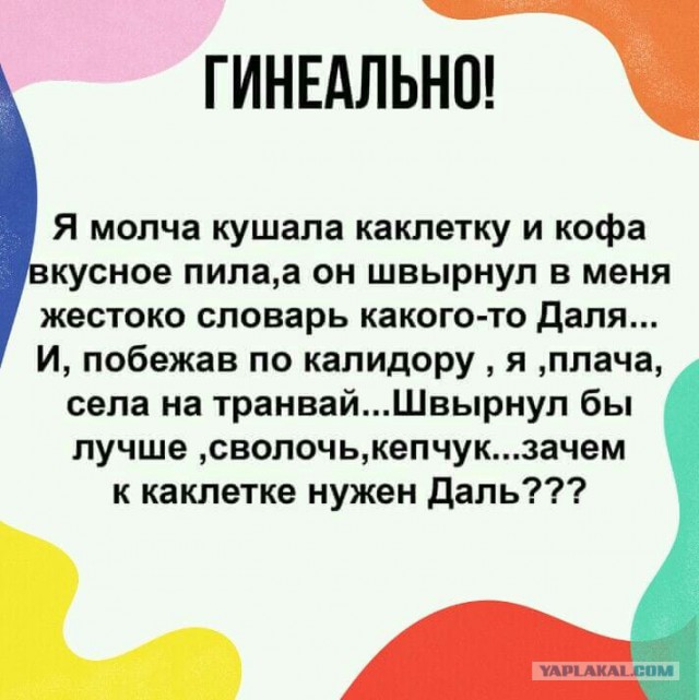 Картинки с надписями,истории и анекдоты