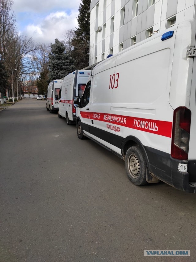 Так как понимать это заявление
