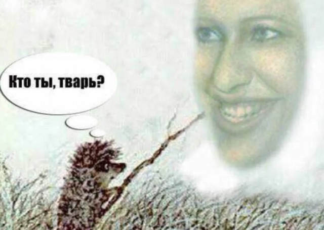 Немного картинок разной степени новизны и адекватности - 12
