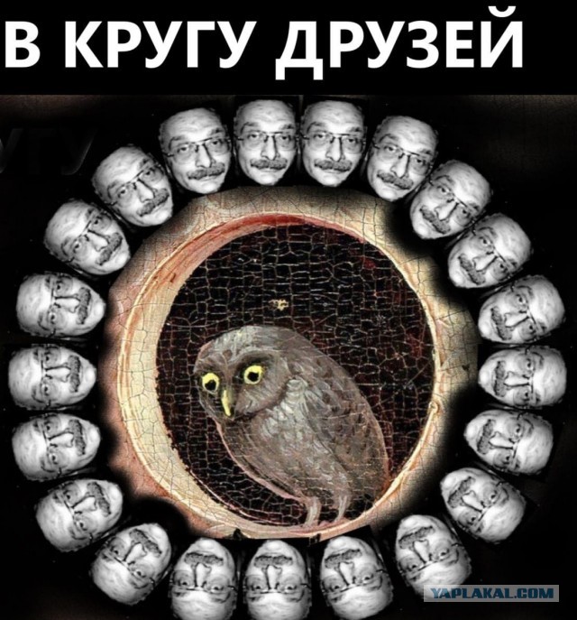 Друзь собирает груздь
