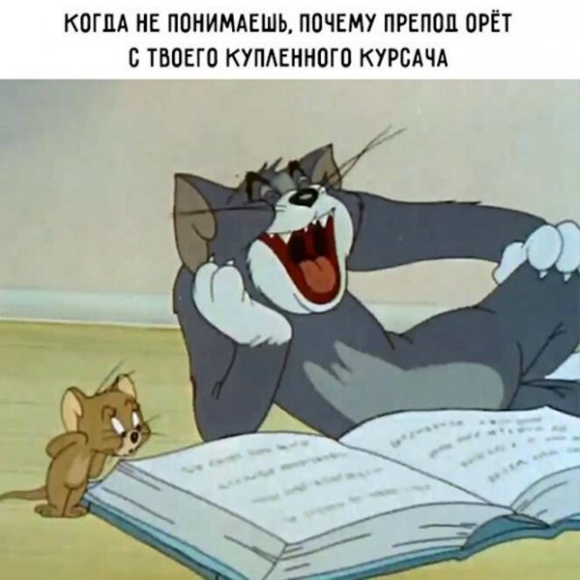 Картинки и мемы для настроения - 25
