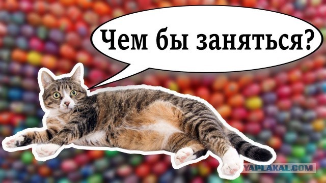 Заставляет задуматься