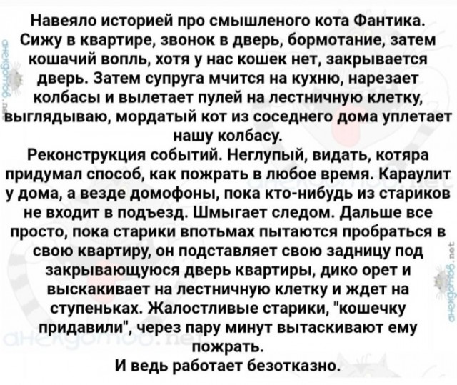 Так себе картинки 19.09.22