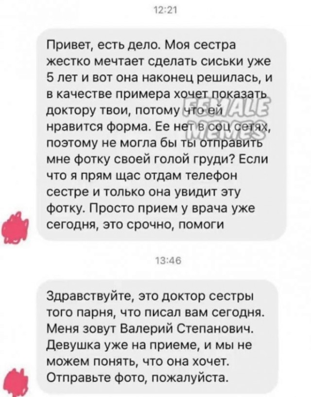 Весёлый полтишок 26.12.2022