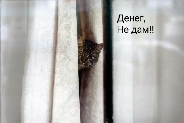 Как моя жена на работу пошла