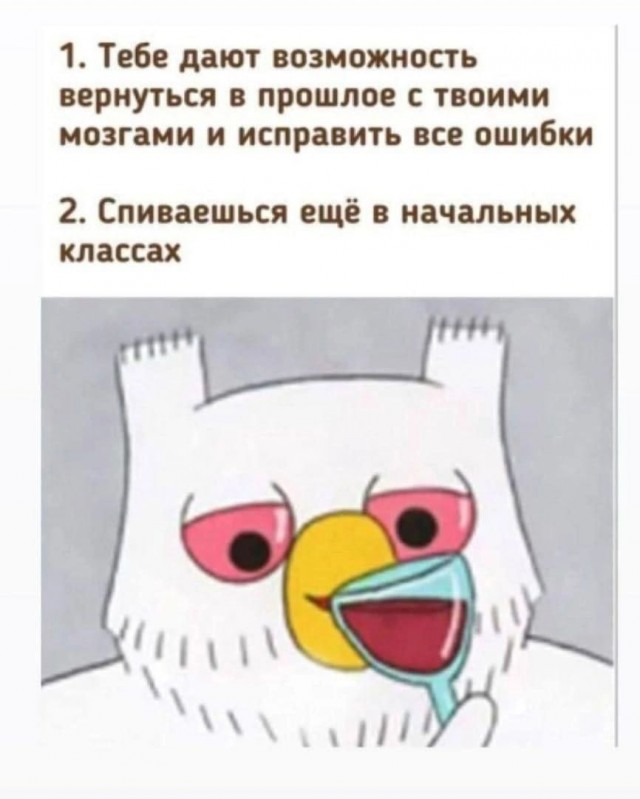 Нуштош 06.04.2023