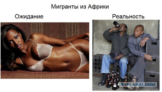 Иностранные студенты БГТУ выпивают прямо во дворе универа разложив закусь на припаркованных машинах