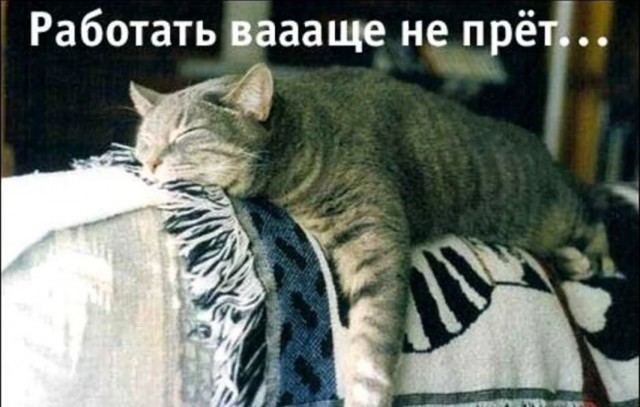 Без врага жизнь скучна, а с врагом - интересна