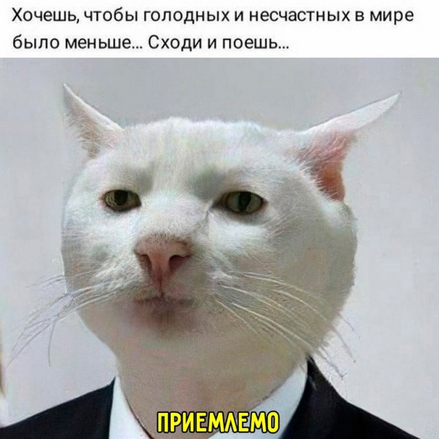 Весёлый полтишок 19.11.23