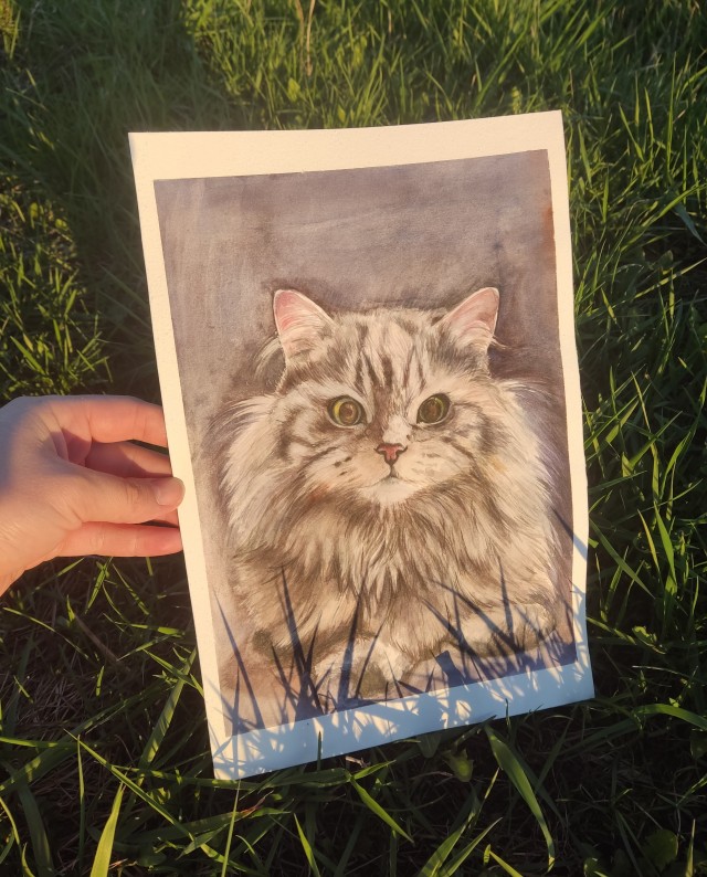 Акварели показываю.Рисунок кота Дарси