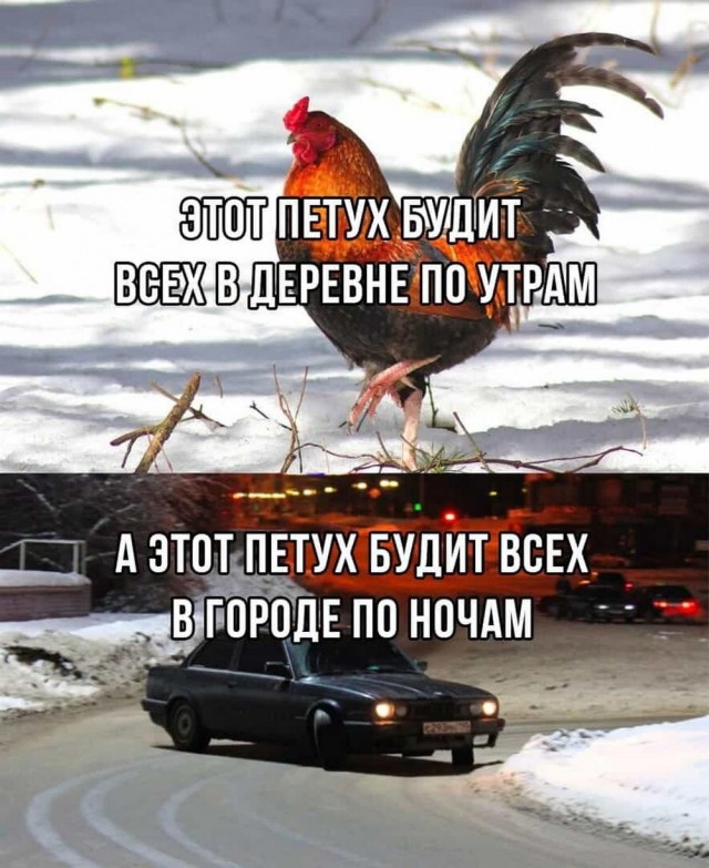 Всего понемногу. От 24.06.2024