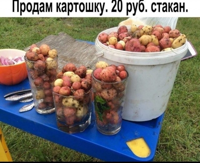 А какая у вас картошка?
