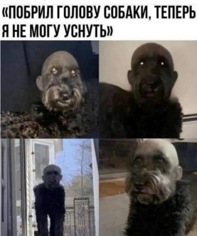Завалялось тут случайно немного забавных картинок