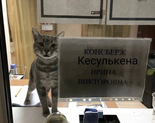 Завалялось тут случайно немного забавных картинок
