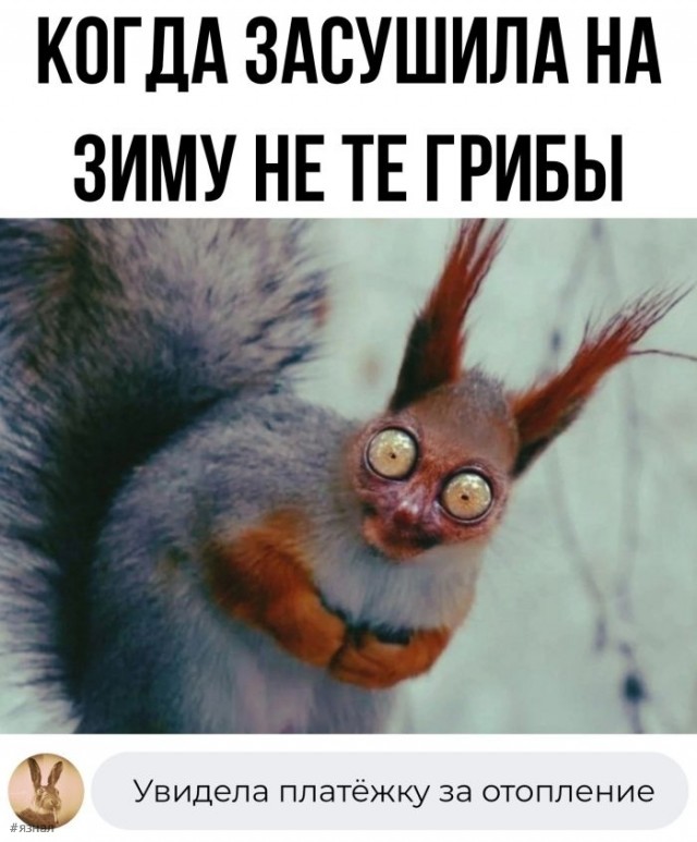 Картинки разные с надписями и без