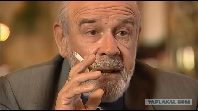 Петербургская полиция задержала гражданина Азербайджана за кражу велосипеда