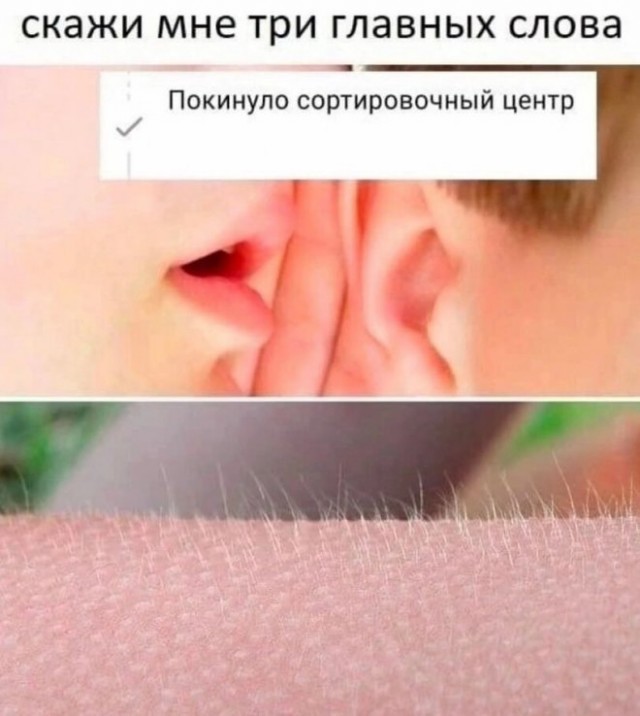 Веселые картинки в маленькую пятницу (06.08)