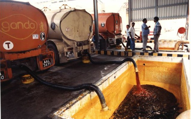 Российские диетологи опровергли миф о вреде пальмового масла