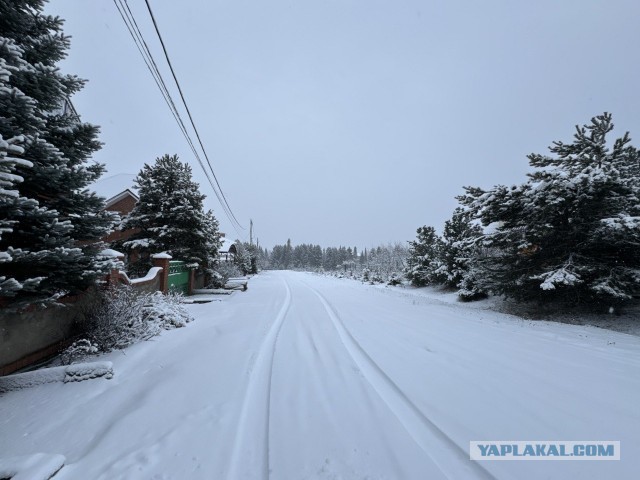 Эпоксидный пол в гараже