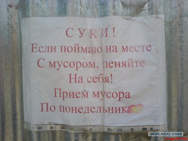 Вежливость сотрудников