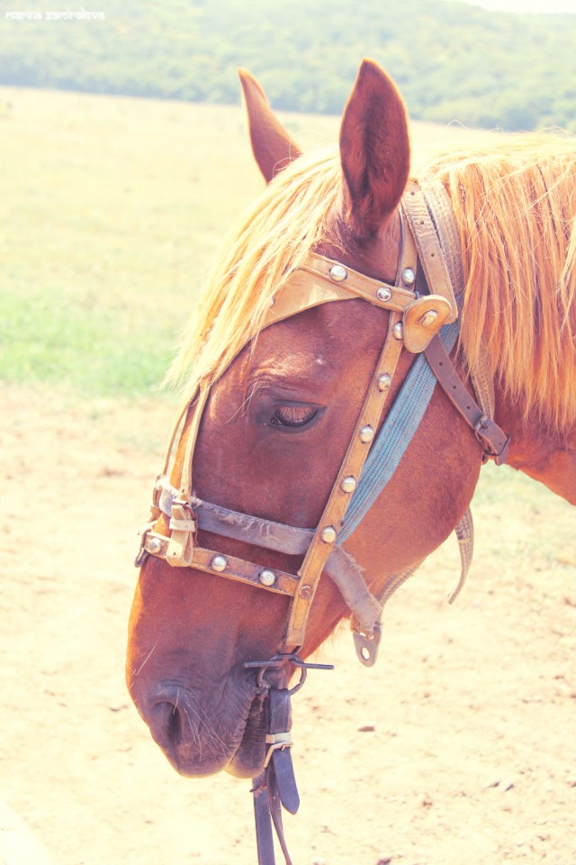 Крым: Судак и окрестности