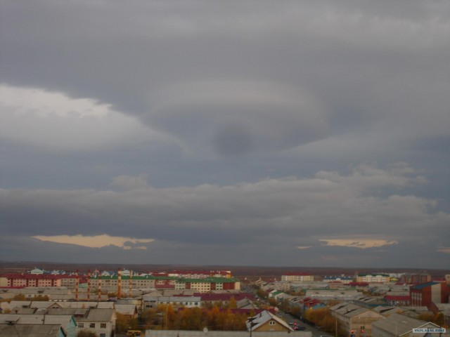 Необъяснимые явления 2009 года (25 фото)