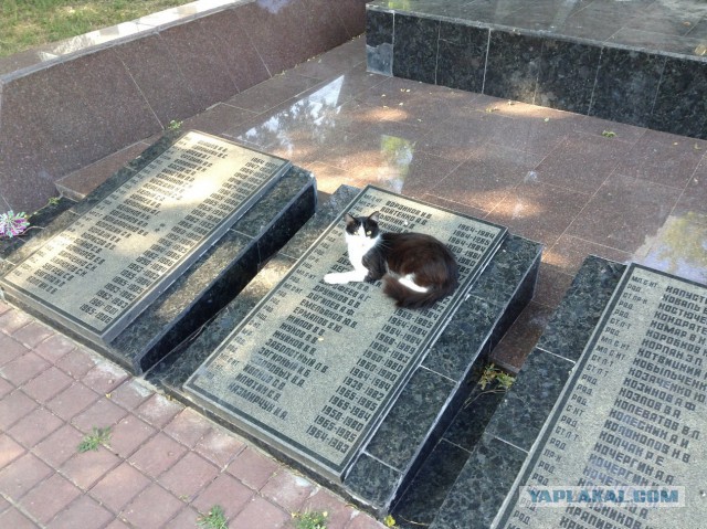 Отчет о поездке в Крым