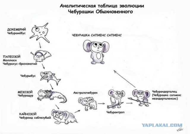 Чтобы улыбнуться