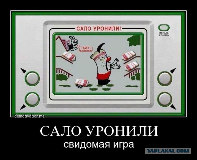 Веселости попавшиеся на сегодня