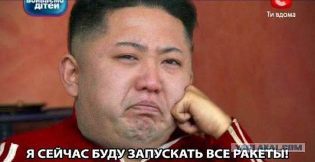 В КНДР министра расстреляли из зенитного орудия
