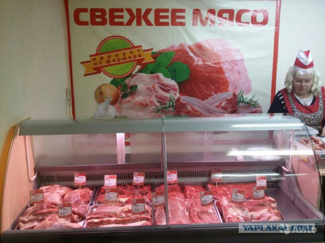 О жизни в Канаде.