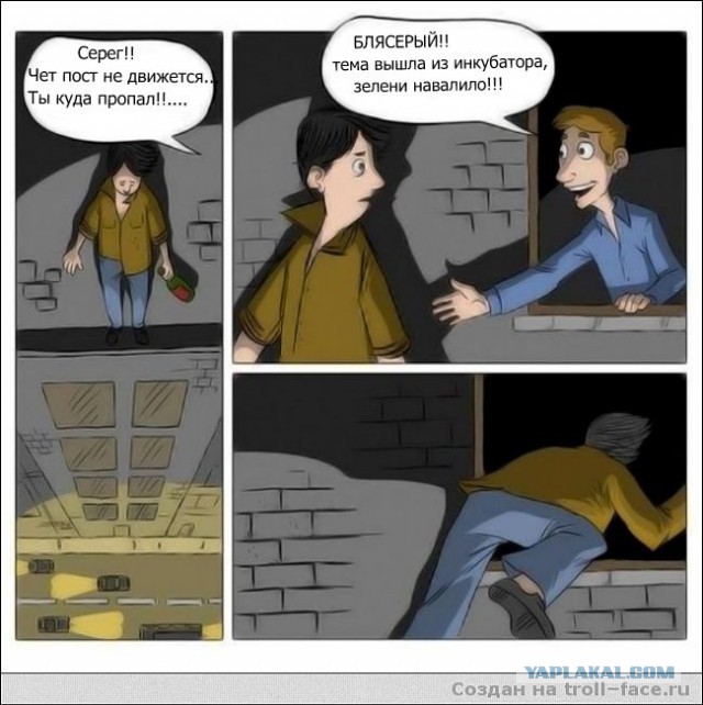 Комиксы про ЯП