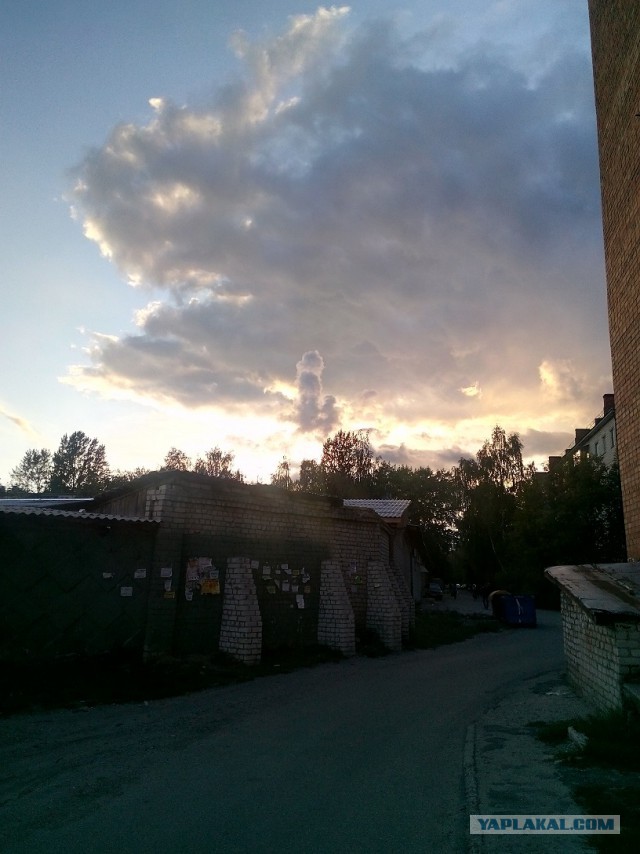 Случайно созданные шедевры