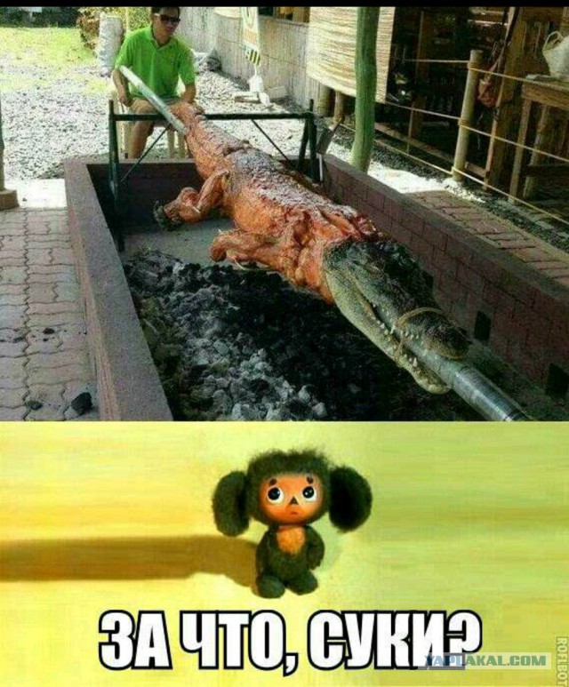 Крокодилятина