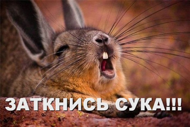 45 - баба, ягодка опять
