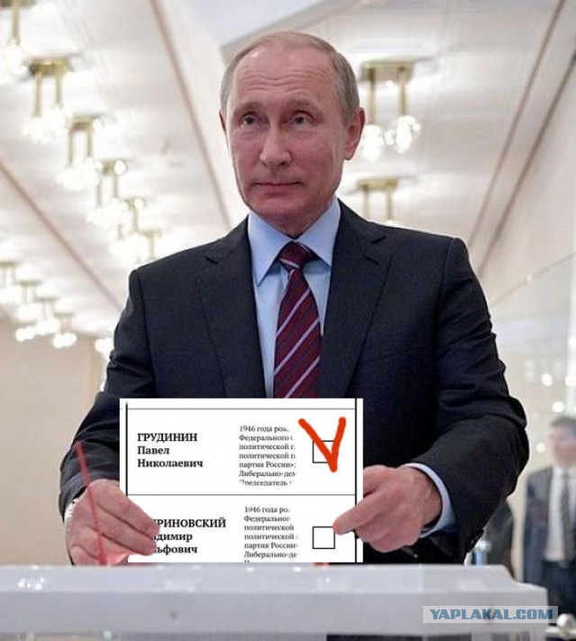 Видеотрансляция выборов 2018