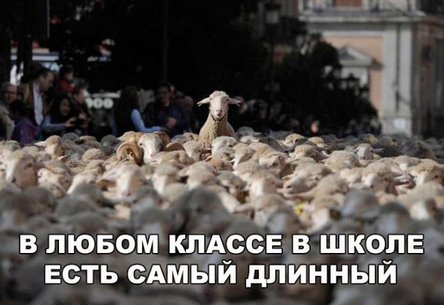 Нестандартный юмор