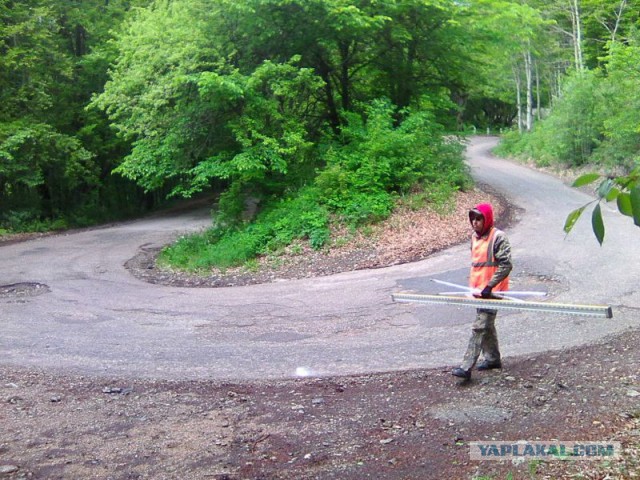 Командировка. В леса