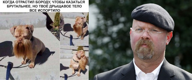 Нестандартный юмор