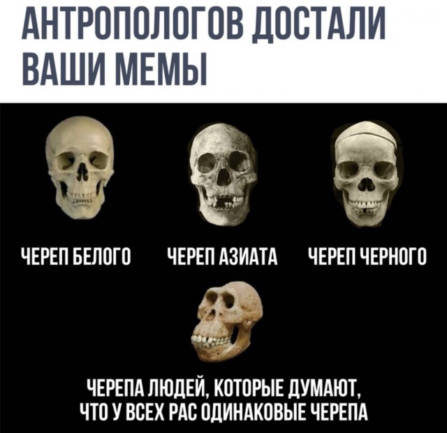 Прикольные комментарии и высказывания из Сети  31. 10 2018.